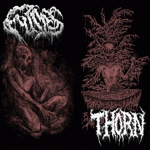 Thorn (USA) : Fumes - Thorn